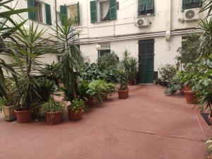 une cour avec des plantes en pot devant un bâtiment dans l'établissement Waterfront House, à Gênes