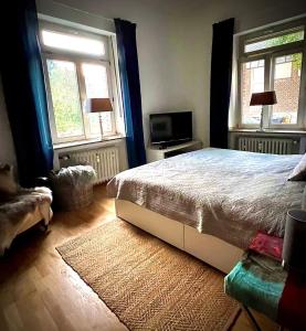 a bedroom with a bed and two windows and a television at Im alten Pastorat in Grevenbroich