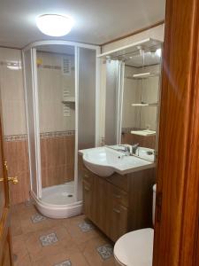 een badkamer met een wastafel, een douche en een toilet bij Sweet Home Pozo Izquierdo A in Pozo Izquierdo