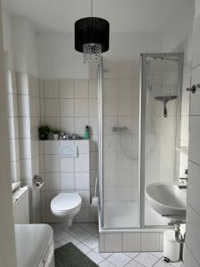 a bathroom with a shower and a toilet and a sink at Stilvolle Altstadtwohnung mit 2 Schlafzimmern in Koblenz