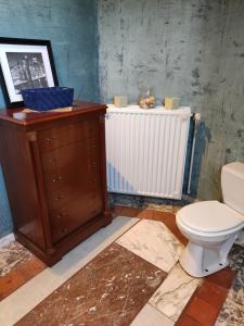 een badkamer met een toilet en een radiator bij Charming Villa 