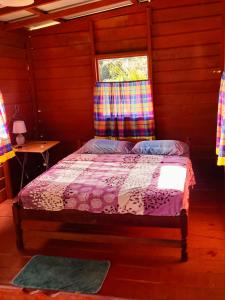 1 dormitorio con 1 cama en una habitación con ventana en Reset en Zanderij