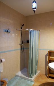 baño con ducha con cortina azul en Vegan Guesthouse Finca Pereila en Coín