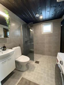 奧盧的住宿－Sankivillat，浴室配有卫生间、盥洗盆和淋浴。