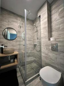 een badkamer met een douche, een toilet en een wastafel bij AAB Studio Central in Piatra Neamţ