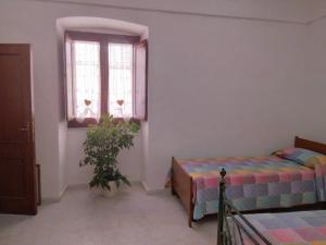 1 dormitorio con cama, ventana y planta en Casa Angheledda, en Nulvi
