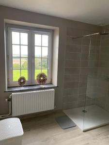 baño con ducha y ventana en Domaine Au Fil du Temps, en Ohey