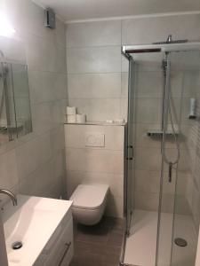 a bathroom with a shower and a toilet and a sink at Hotel Alpenland in Niederau
