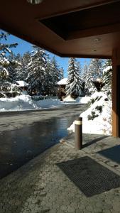 an empty street with snow covered trees and a building at Holiday Inn Express South Lake Tahoe, an IHG Hotel in South Lake Tahoe