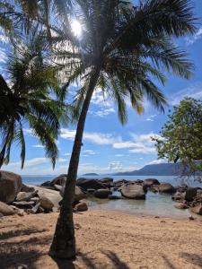 uma palmeira numa praia com o oceano em Pousada Casa Rosada Ilhabela em Ilhabela