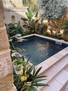 una piscina en un jardín con plantas en La Maison du Trident en Camargue Piscine et Jacuzzi en Vauvert