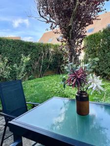 una mesa con una maceta encima en Vive la vie - maison de famille à Mers proche mer en Mers-les-Bains