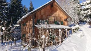 Knödl-Alm Waldhäusl during the winter