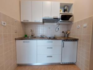 Kuchyň nebo kuchyňský kout v ubytování Apartments Nono