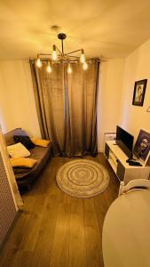 sala de estar con cama y alfombra en el suelo en LA VILLA DEKO - Studio avec parking proche Université et Hôpital, en Beuvry