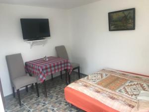 um quarto com uma mesa, uma televisão e uma cama em Salaš Vujić em Bečej