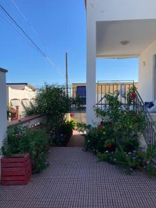 Zahrada ubytování Al Fresco Mare