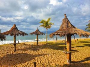 - une plage avec de nombreux parasols en paille et des palmiers dans l'établissement 100mts DA PRAIA com Churrasqueira, Piscina e Wi-Fi, à Caraguatatuba