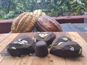 a group of chocolate dipped vegetables on a wooden table at The Chocolate Lodge in Jiménez
