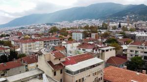 vistas a una ciudad con edificios y montañas en LOTUSPARK HOTEL, en Bursa