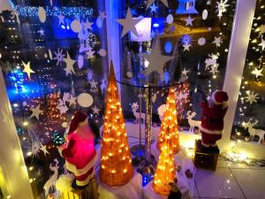 a window filled with christmas lights and christmas trees at B&B on Top in Sirnach