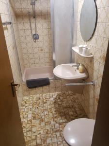 a bathroom with a sink and a shower and a toilet at Monteurunterkunft Königstein in Königstein in der Oberpfalz