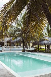 a swimming pool with palm trees and lounge chairs at Hotel Boutique Zebra Beach in Uruau