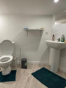 a bathroom with a toilet and a sink at studio rénové 30m2 a 5 min de la gare in Bordeaux