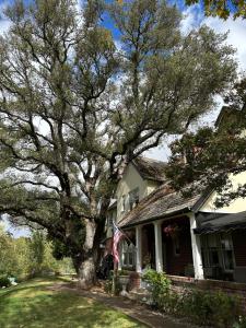 a house with a large tree in front of it at The Inn on Knowles Hill Bed & Breakfast Hotel in Sonora