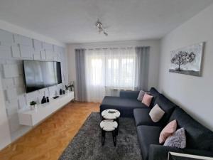 TV a/nebo společenská místnost v ubytování Apartman Toni, Gata