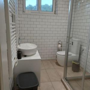 a white bathroom with a sink and a toilet at Fakapu Vendégház in Sárospatak