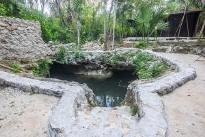 Gallery image of Casa Costal - Glamping Experience in Puerto Morelos