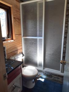 a bathroom with a toilet and a glass shower at Cabañas Parque Chaqueihua in Hornopiren
