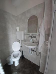 Apartment KARADAK في Kriva Palanka: حمام صغير مع مرحاض ومغسلة