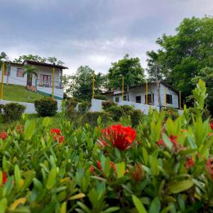 um grupo de casas com flores vermelhas no primeiro plano em Hotel Candilejas em Puerto Berrío