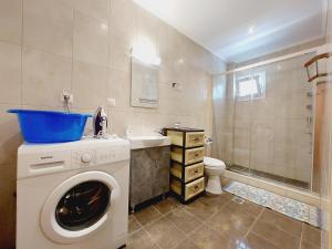 een wasmachine in een badkamer met een wastafel en een toilet bij George studios 1 in Ýpsos