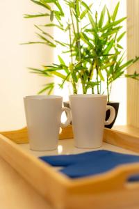 deux tasses blanches assises sur une table avec une plante dans l'établissement Hostal Ventura Premium, à Alicante