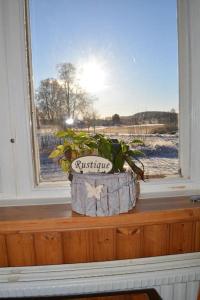 a potted plant sitting on a window sill at Countryside Holiday home "Our Little Farm" in Hagfors