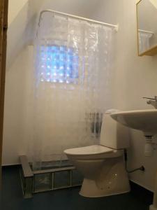 a bathroom with a toilet and a sink at Countryside Holiday home "Our Little Farm" in Hagfors