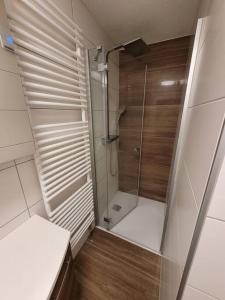 een kleine badkamer met een douche en een toilet bij Wohnung mit Garten, Sauna und Infrarotkabine 
