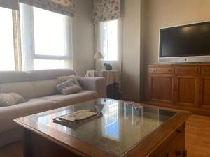 TV a/nebo společenská místnost v ubytování Bonito Apartamento con wifi y patio