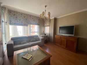 TV a/nebo společenská místnost v ubytování Bonito Apartamento con wifi y patio