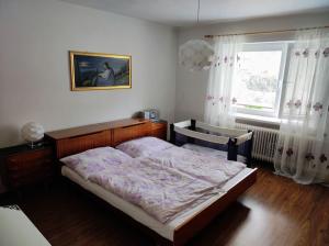 a bedroom with a bed and a window at Priestranný dom v malebnom prostredí Liptova in Ružomberok