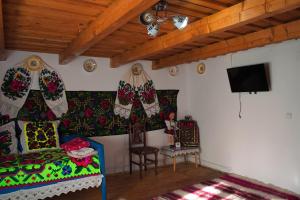 a living room with a tv and a couch and a chair at La Rodica in Vale in Ocna Şugatag