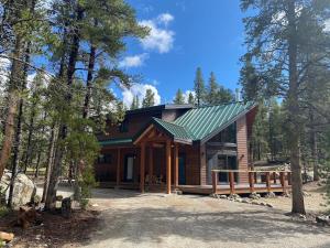 a cabin in the woods with a green roof at Family Friendly, Pet Friendly, New Build, 20 mi to Breckenridge - Lamplighter Lodge in Fairplay