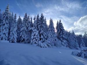 Chalet neuf avec jacuzzi privé, vue imprenable sur Massif des Vosges semasa musim sejuk