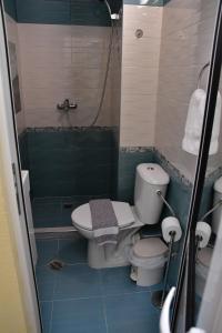 a small bathroom with a toilet and a shower at VILLA IBIS THASSOS in Chrysi Ammoudia