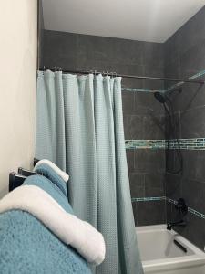 a bathroom with a shower curtain and a bath tub at Family Friendly, Pet Friendly, New Build, 20 mi to Breckenridge - Lamplighter Lodge in Fairplay +42 photos