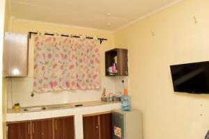 A television and/or entertainment centre at Woodgreek Studio Apartment 4B27