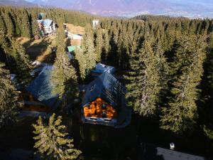 Príroda v okolí apartmánu